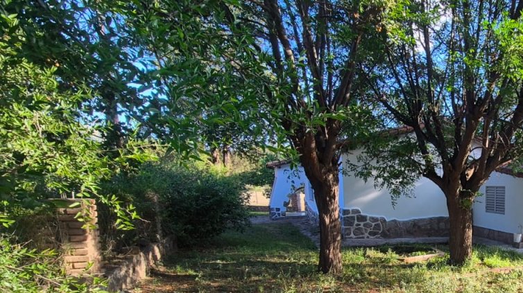 WhatsApp Image 2026-02-20 at 11.47.41.jpeg